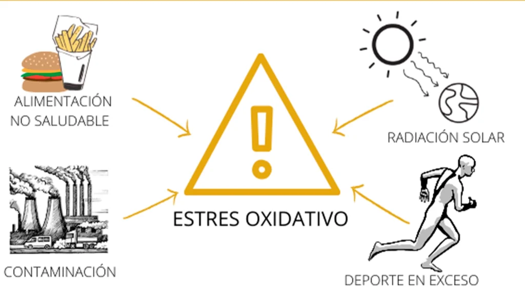 estrés-oxidativo