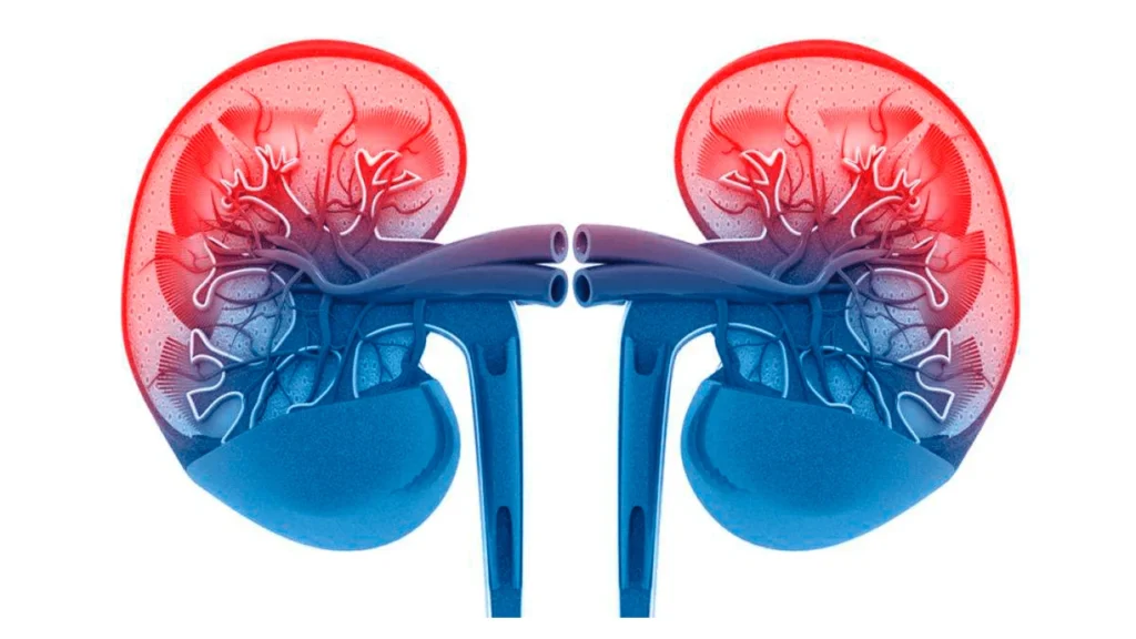 paciente-renal