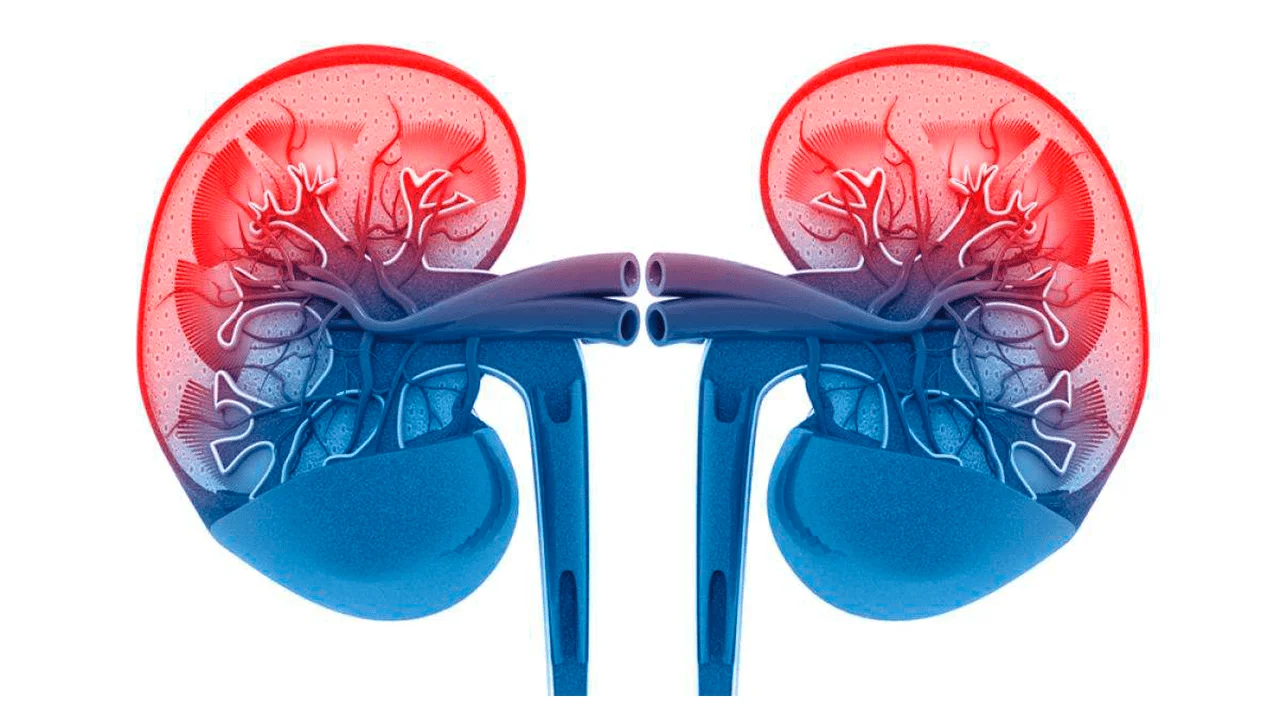 paciente-renal