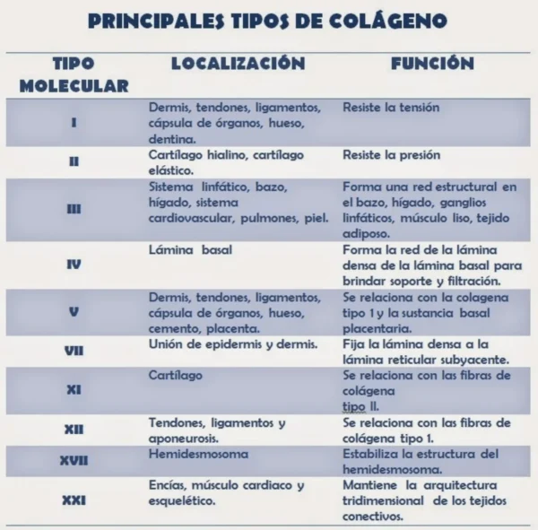 colágeno